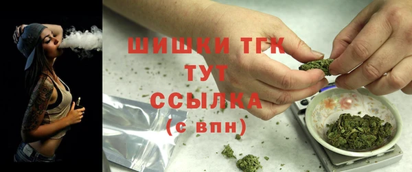 гидропоника Горняк
