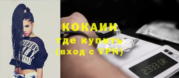 прущие грибы Саяногорск
