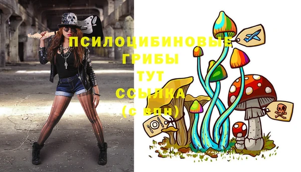 MDMA Гусь-Хрустальный