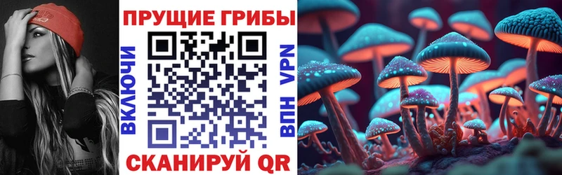 Псилоцибиновые грибы MAGIC MUSHROOMS  наркота  Гусь-Хрустальный 