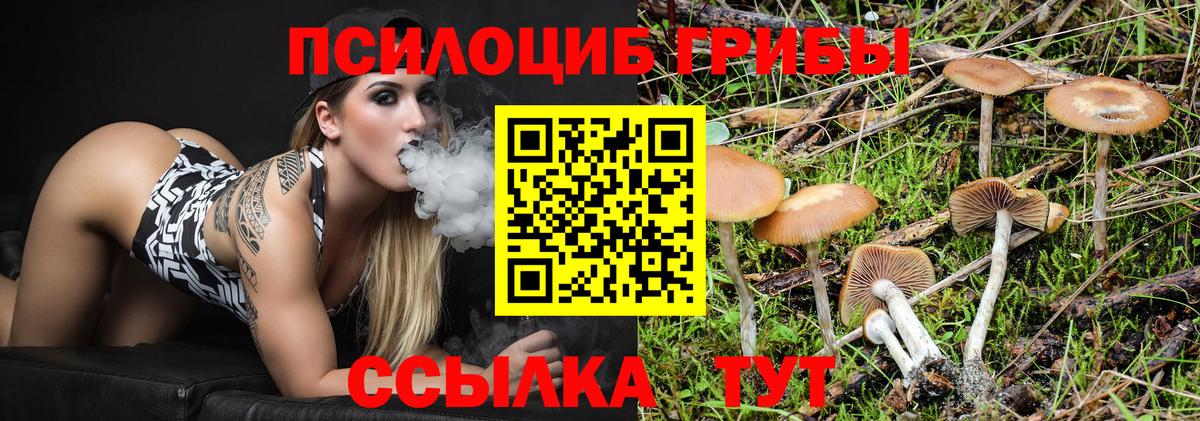 Галлюциногенные грибы Psilocybine cubensis Гусь-Хрустальный
