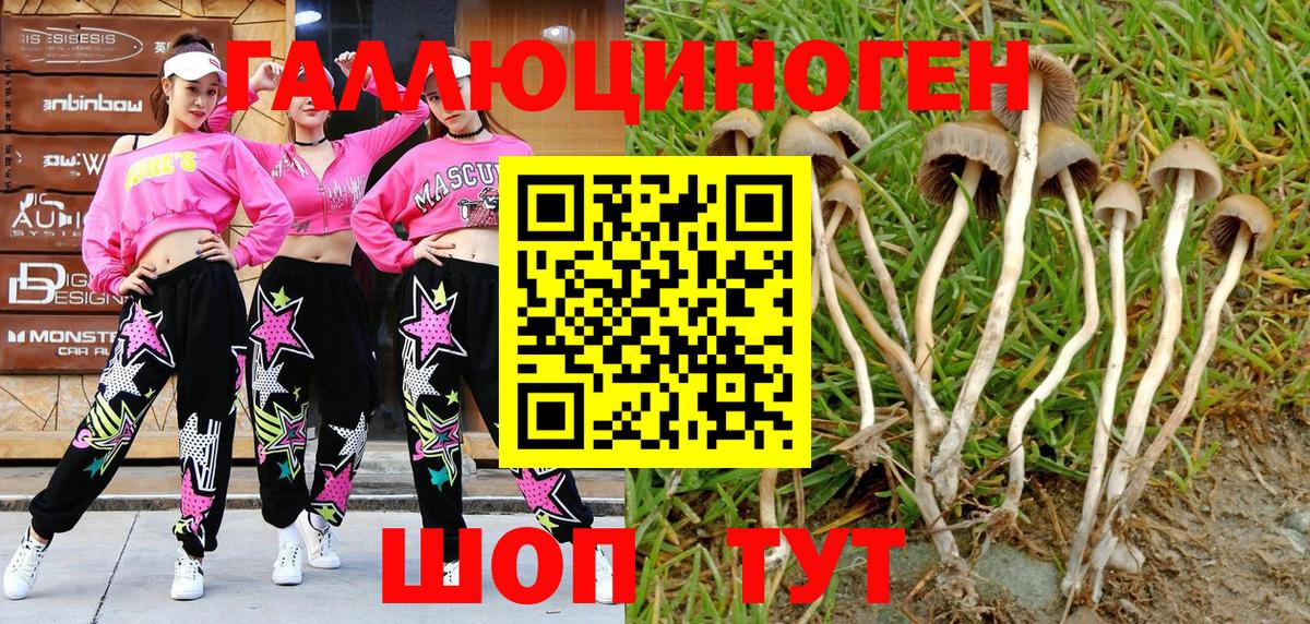 Псилоцибиновые грибы мицелий  закладка  Гусь-Хрустальный 