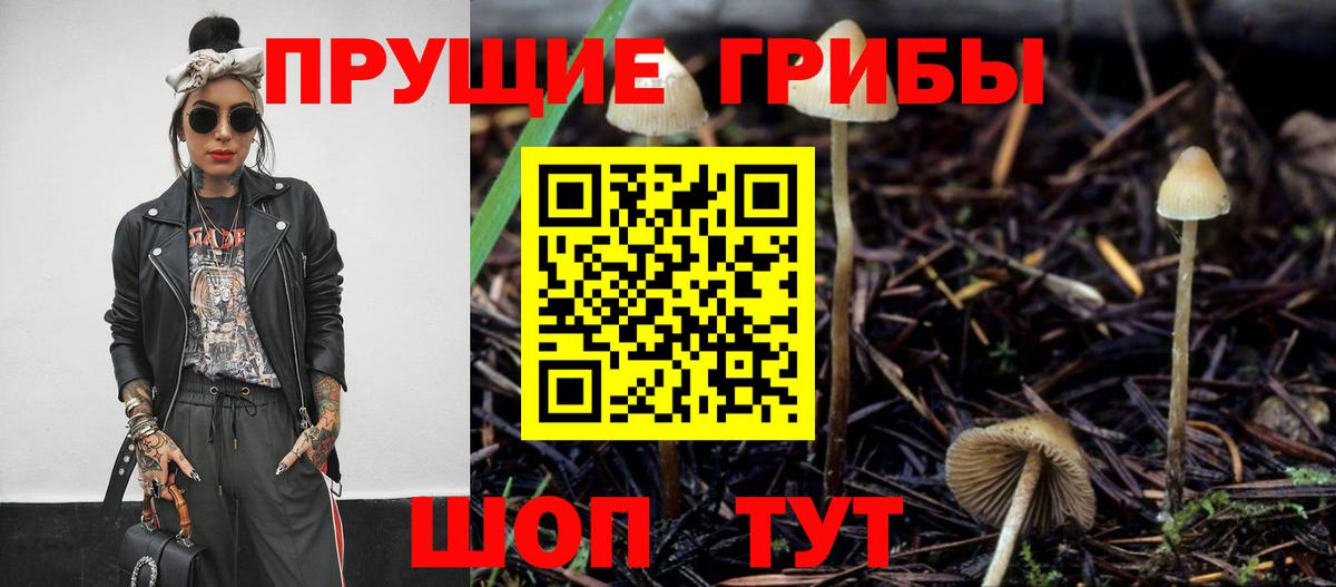 Псилоцибиновые грибы прущие грибы Гусь-Хрустальный