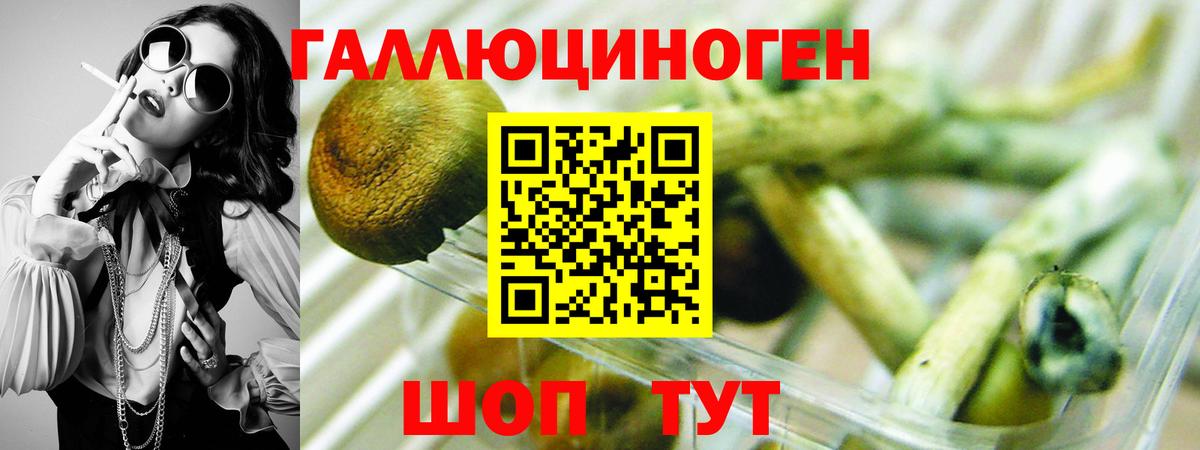 Гусь-Хрустальный  Псилоцибиновые грибы Cubensis  Вход с VPN  Галлюциногенные грибы GOLDEN TEACHER 